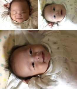 スクリーンショット 2015-11-15 8.51.54