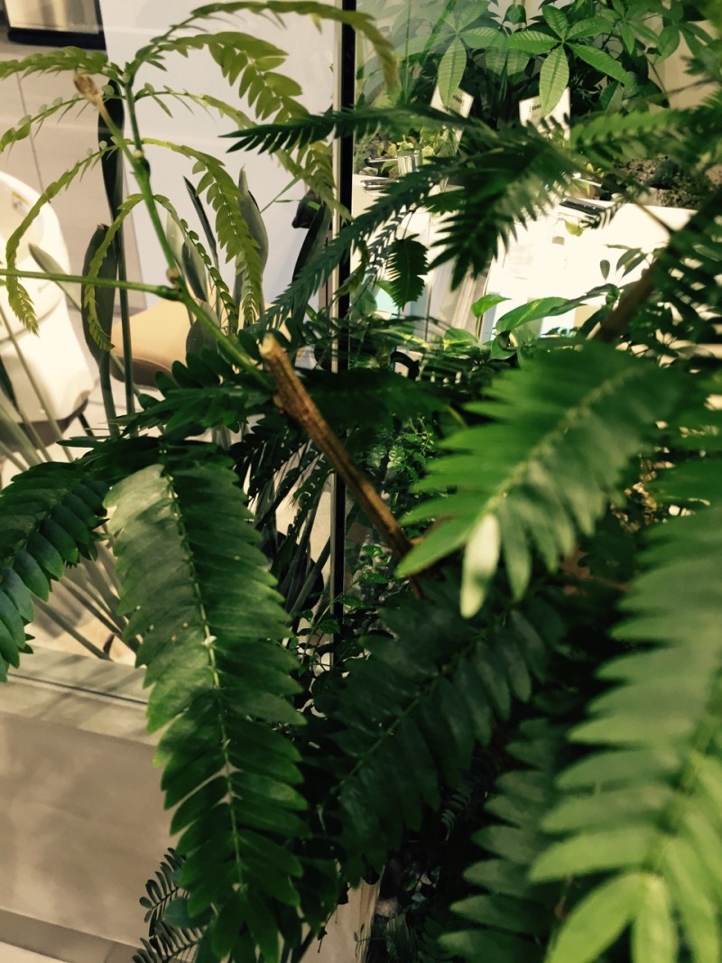 tumblr_o77fxndHGK1uo4j9yo1_1280