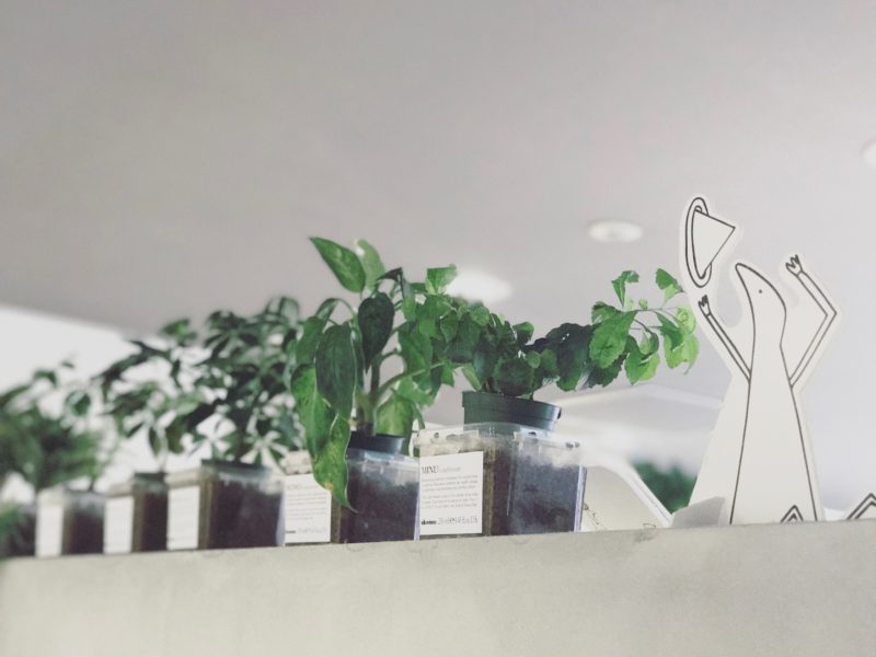 {"total_effects_actions":0,"total_draw_time":0,"layers_used":0,"effects_tried":0,"total_draw_actions":0,"total_editor_actions":{"border":0,"frame":0,"mask":0,"lensflare":0,"clipart":0,"text":0,"square_fit":0,"shape_mask":0,"callout":0},"effects_applied":0,"uid":"8755DC5D-2839-4277-8CD2-468EA5A643B2_1492758875437","width":3344,"photos_added":0,"total_effects_time":0,"tools_used":{"tilt_shift":0,"resize":0,"adjust":0,"curves":0,"motion":0,"perspective":0,"clone":0,"crop":0,"enhance":0,"selection":0,"free_crop":0,"flip_rotate":0,"shape_crop":0,"stretch":0},"origin":"gallery","height":2508,"subsource":"done_button","total_editor_time":82,"brushes_used":0}