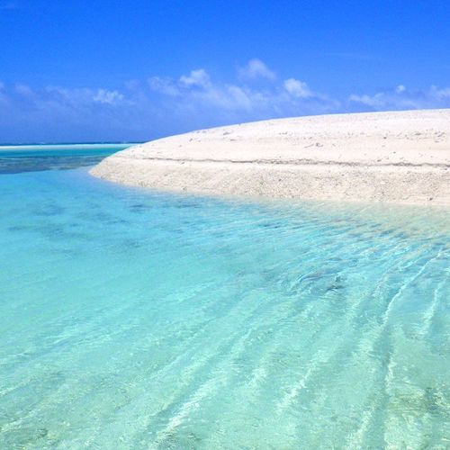 未来の海を守るために