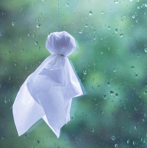 今年は長梅雨です><