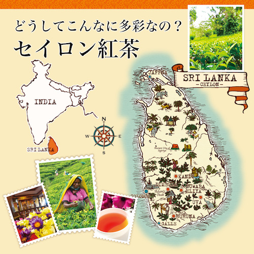 世界の紅茶-3