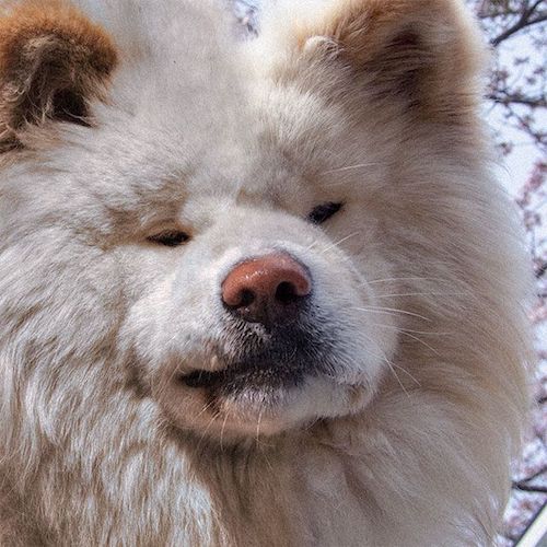 家族でいられたことを誇りに思うし、感謝しています。