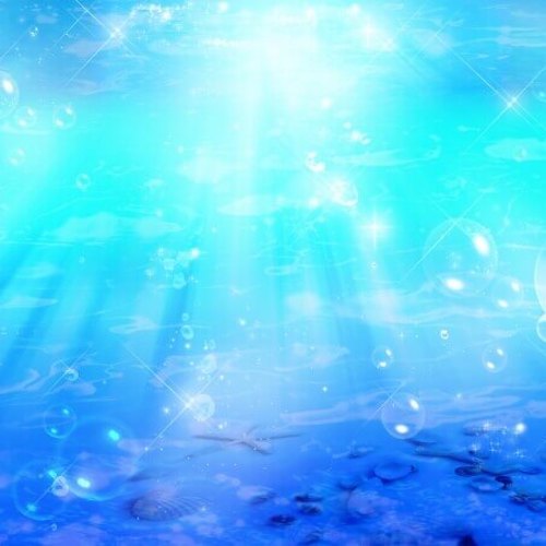 未来の子供たちへ【世界海洋デー】