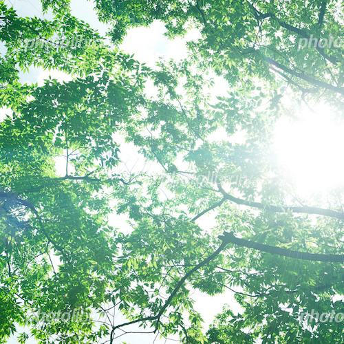 意外な落とし穴？