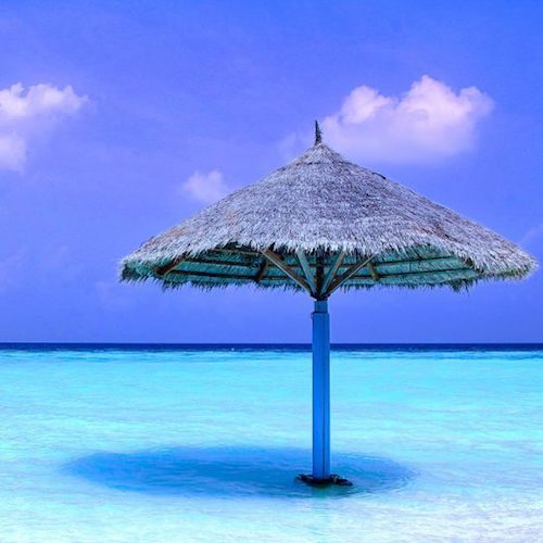 夏だ！海だ！髪ギシギシだ!