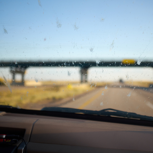 車の窓の虫、内側なのか外側なのか