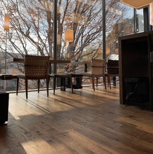 自然x建築x木漏れ日＝beauty