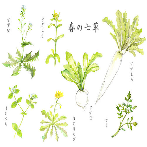 春の七草