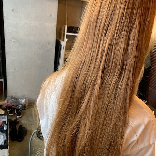 ワールドキャンペーン